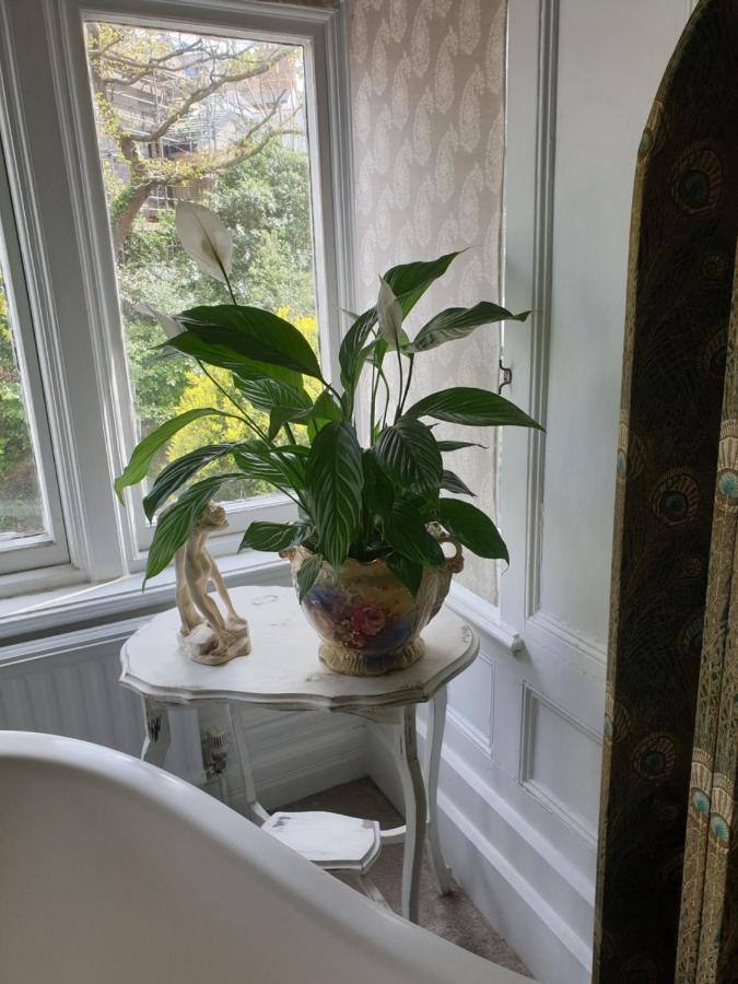 Judy'S B&B Private Home カーディフ エクステリア 写真
